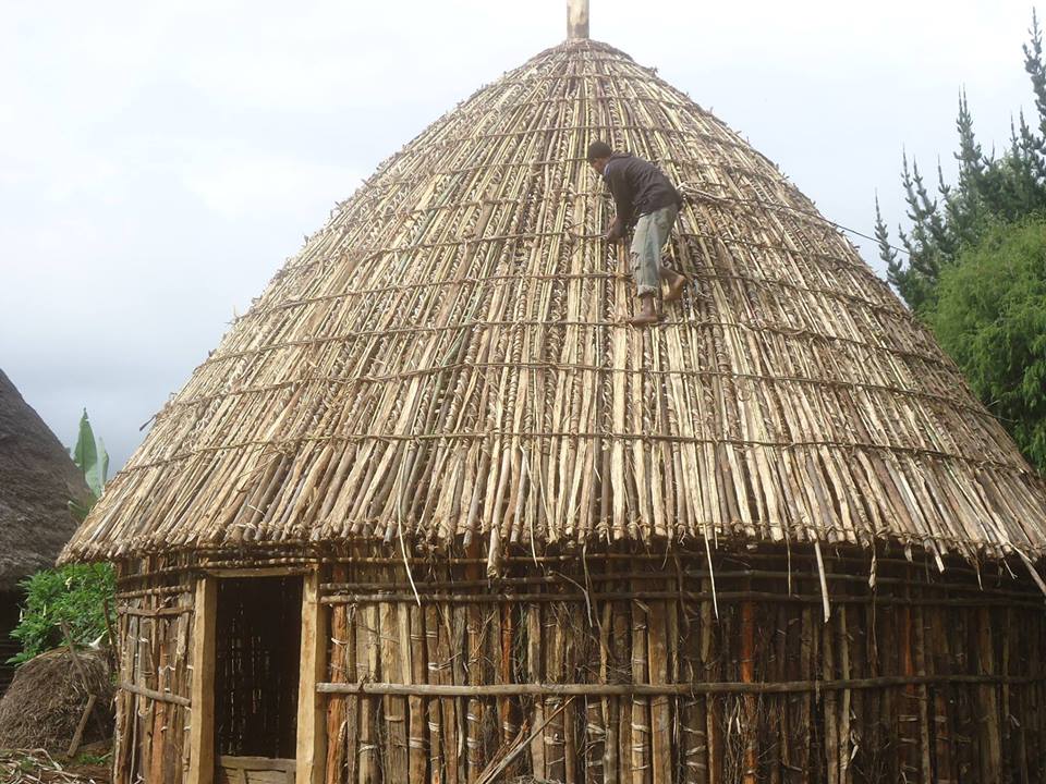 Hadiya Ethiopia: Building a typical traditional dwelling Nov 2014
