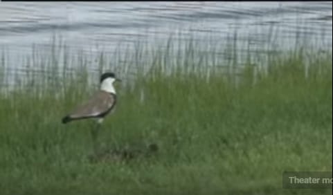 Hadiya Ethiopia: Booyoo Dambalaa Lake View 3