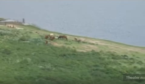 Hadiya Ethiopia: Elinch Fi'il Badawaach Siraaro kululessa maci afal dambalaa lake view 4