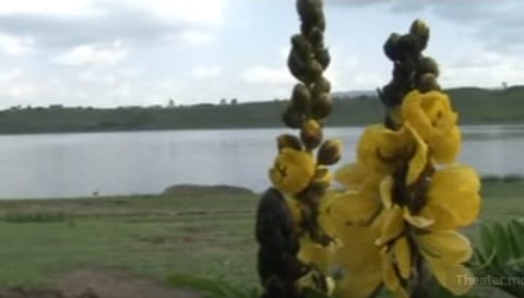 Hadiya Ethiopia: Elinch Fi'il Badawaach Siraaro kululessa maci afal dambalaa lake view 10
