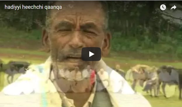 Hadiya Documentary Video in Hadiyyisa - Thumbnail