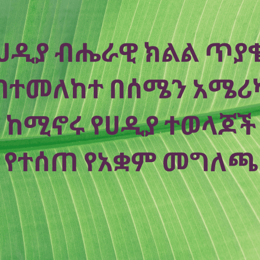 NA Hadiya Diaspora in Position Paper