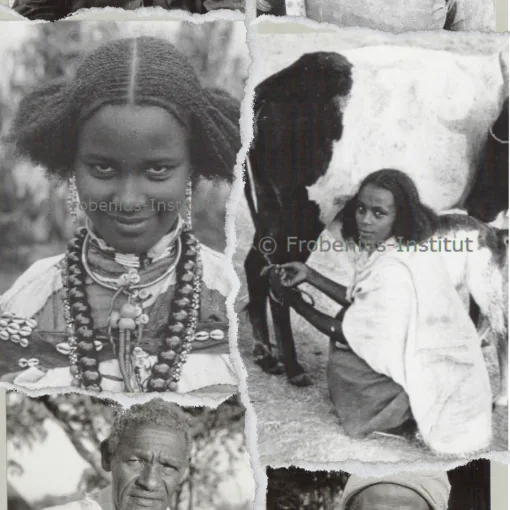 Collage of old Hadiya pictures