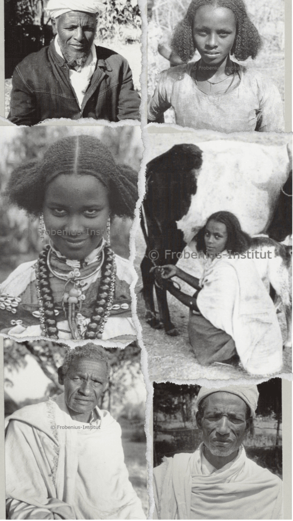 Collage of old Hadiya pictures