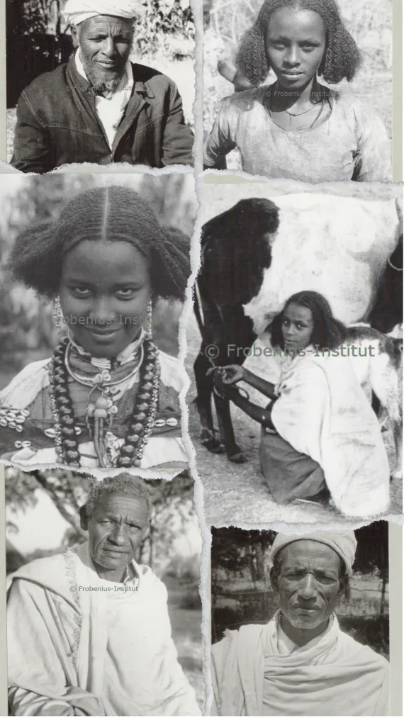 Collage of old Hadiya pictures