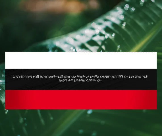 Hadiya Flag on Wide Leaf Background